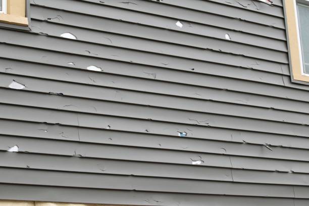 Best Siding Painting and Refinishing  in Hillcrest, CA